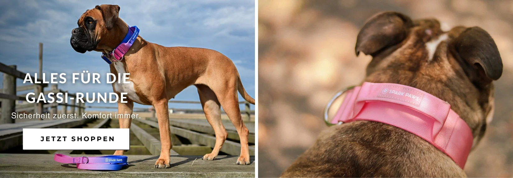 Welcome to Our Store